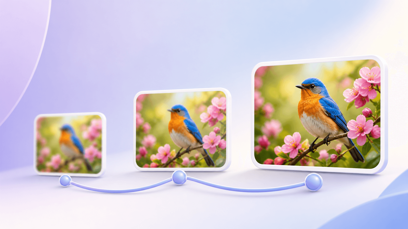 A bird photo shown in three steps from small and soft to large and clear