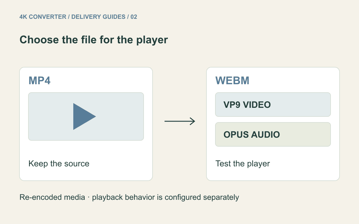A source MP4 is re-encoded into a WebM container with VP9 video and Opus audio